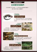 最強戰鬥6 危險爬蟲類 最強王者大戰圖鑑 (白輪剛史)-Children’s / Teenage general interest: Nature and animals-買書書 BuyBookBook