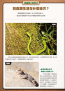 最強戰鬥6 危險爬蟲類 最強王者大戰圖鑑 (白輪剛史)-Children’s / Teenage general interest: Nature and animals-買書書 BuyBookBook