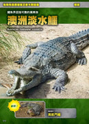 最強戰鬥6 危險爬蟲類 最強王者大戰圖鑑 (白輪剛史)-Children’s / Teenage general interest: Nature and animals-買書書 BuyBookBook