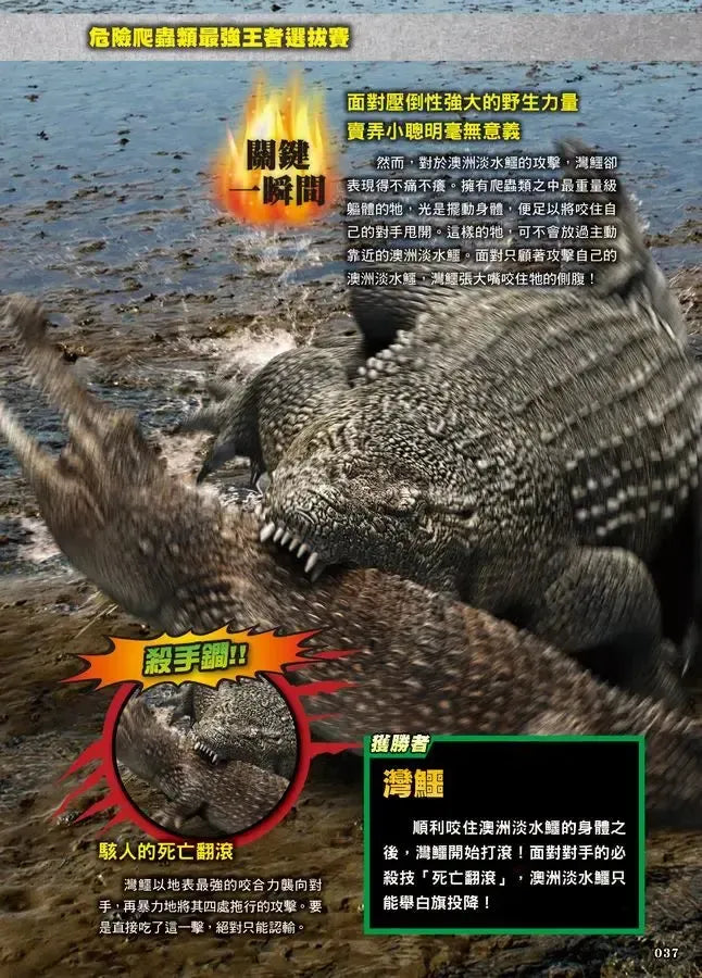 最強戰鬥6 危險爬蟲類 最強王者大戰圖鑑 (白輪剛史)-Children’s / Teenage general interest: Nature and animals-買書書 BuyBookBook