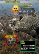 最強戰鬥6 危險爬蟲類 最強王者大戰圖鑑 (白輪剛史)-Children’s / Teenage general interest: Nature and animals-買書書 BuyBookBook