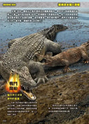最強戰鬥6 危險爬蟲類 最強王者大戰圖鑑 (白輪剛史)-Children’s / Teenage general interest: Nature and animals-買書書 BuyBookBook