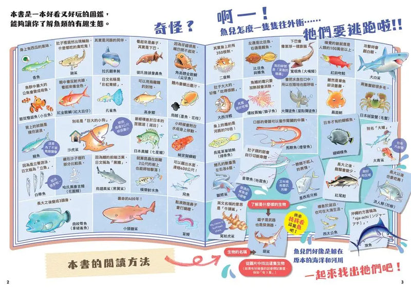 超有趣的找一找魚類圖鑑-Children’s Early years / early learning concepts-買書書 BuyBookBook