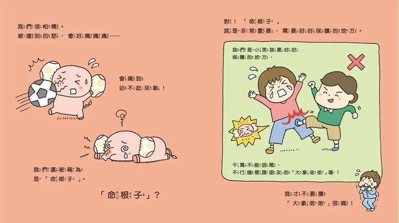 大象弟弟和內褲王國-Children’s / Teenage: Personal and social topics-買書書 BuyBookBook