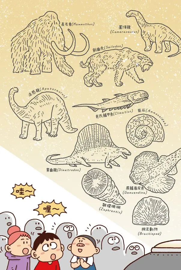 紅衣鼻屎超人4 地層裡的寶物化石-Children’s / Teenage fiction: Action and adventure stories-買書書 BuyBookBook