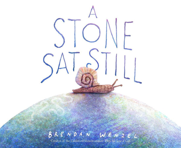 A Stone Sat Still-Children’s picture books-買書書 BuyBookBook