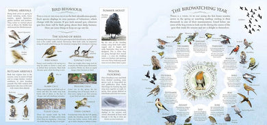 What's That Garden Bird? Birdspotting Wheel and Guide Book (Andrea Pinnington)