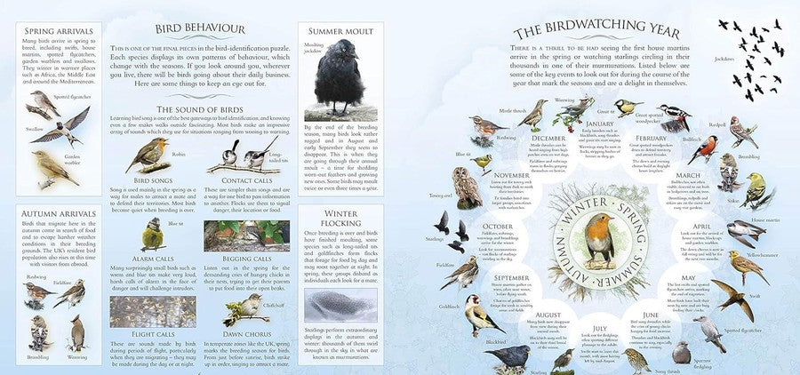 What's That Garden Bird? Birdspotting Wheel and Guide Book (Andrea Pinnington)