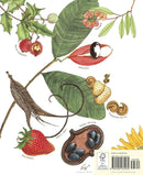 A Seed Is Sleepy-Children’s / Teenage general interest: Nature and animals-買書書 BuyBookBook