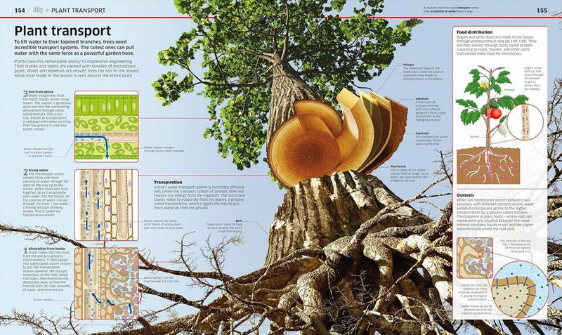 Knowledge Encyclopedia Science, 2nd Edition