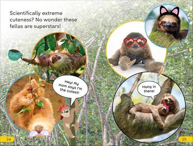 DK Super Readers Level 2 Sassy Sloth