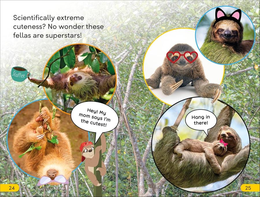 DK Super Readers Level 2 Sassy Sloth