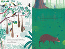Over and Under the Rainforest-Children’s / Teenage general interest: Nature and animals-買書書 BuyBookBook