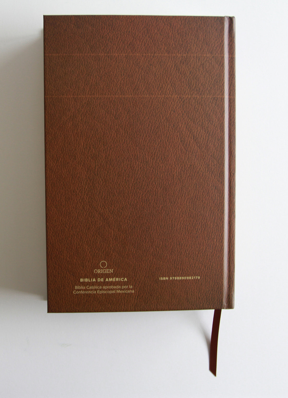 La Biblia Católica: Edición letra grande. HC, marrón con índice, Virgen de Guadalupe en la cubierta / Catholic Bible. HC, Brown, index, with Virgin of Guada interior 6 (ISBN 9798890982179) [onix:7c0022e4858face8842ea6e515649b44]
