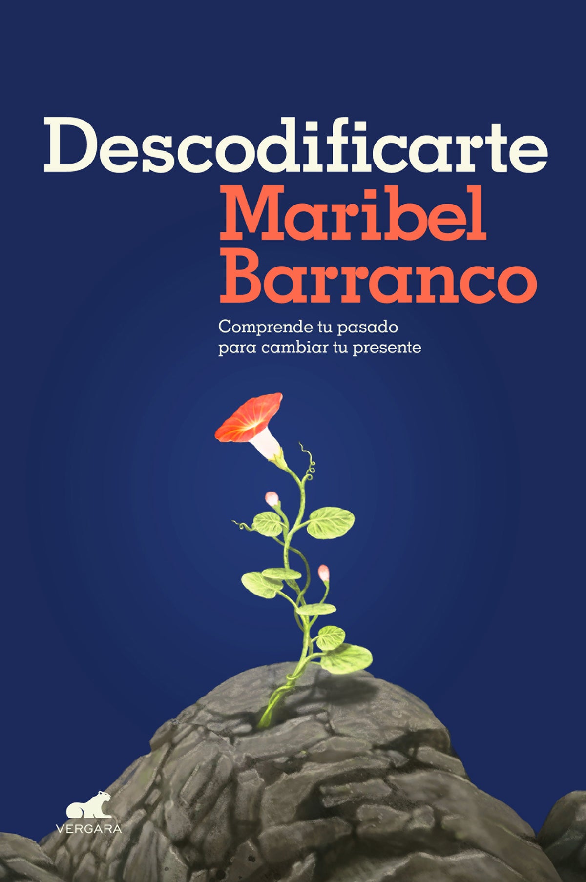 Descodificarte: Comprende tu pasado para cambiar tu presente / Decode Yourself: Understand Your Past and Change Your Present cover (ISBN 9788418620362) [onix:439ba0d753a6d0c9df0fcbbcd8a8d9b6]