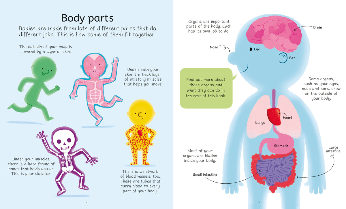 Usborne Book and Jigsaw Human Body interior 1 (ISBN 9781474985291) [onix-asset:f2b92dc5f8836dfbe7106b8ceb15e0aa54143081464253cb1144321d6627d12c]