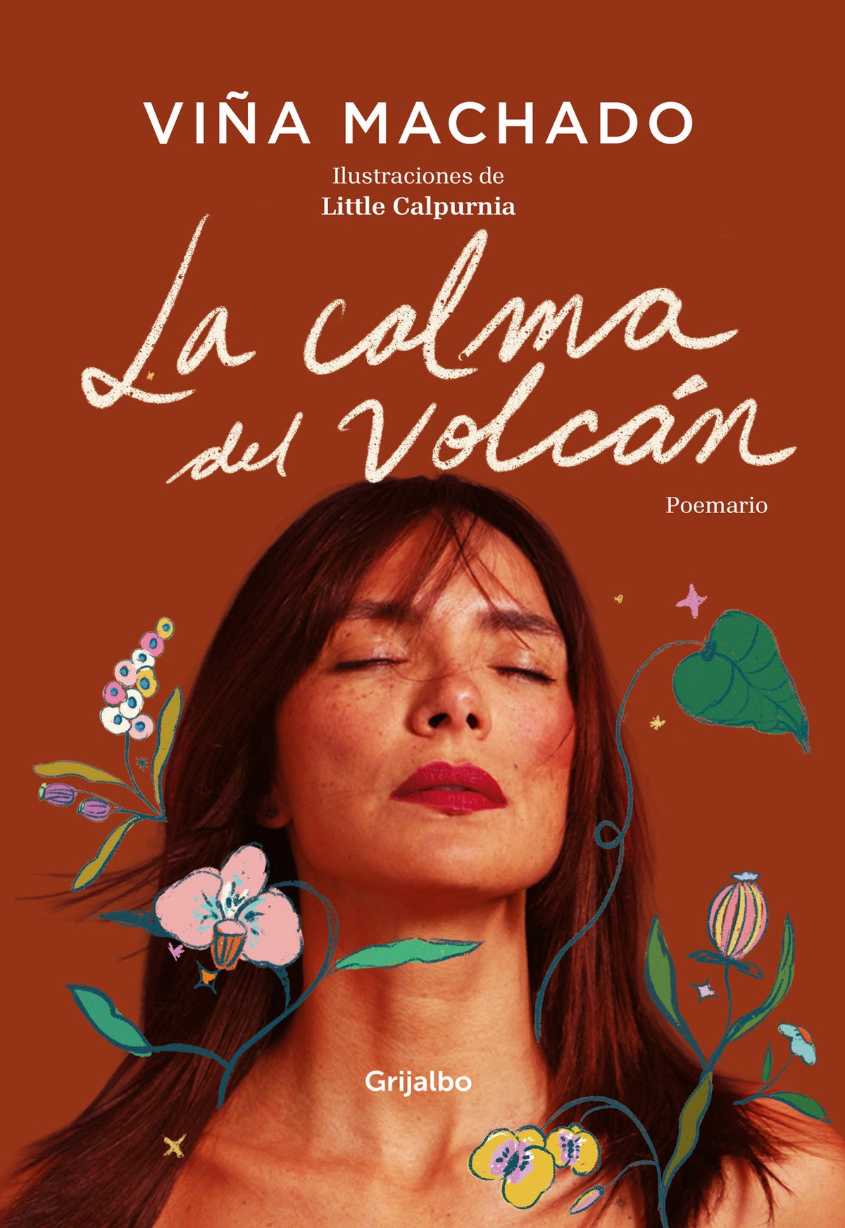 La calma del volcán / The Calm of the Volcano cover (ISBN 9786287832510) [onix:caadc736392c96cba4801df1b1a877f6]