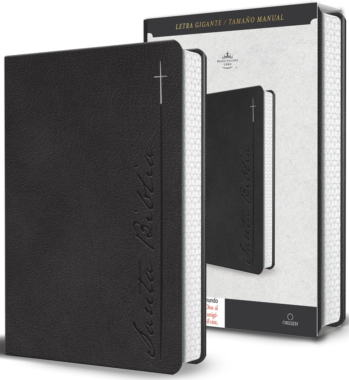 Biblia RVR 1960 Letra gigante, símil piel, gris (Edición cantos pintados) / Spanish Bible RVR 1960 Giant Print Handy Size Leathersoft Gray with cross cover (ISBN 9798890982216) [onix:92960abc4bb07dd56d0d5bec27addc6a]