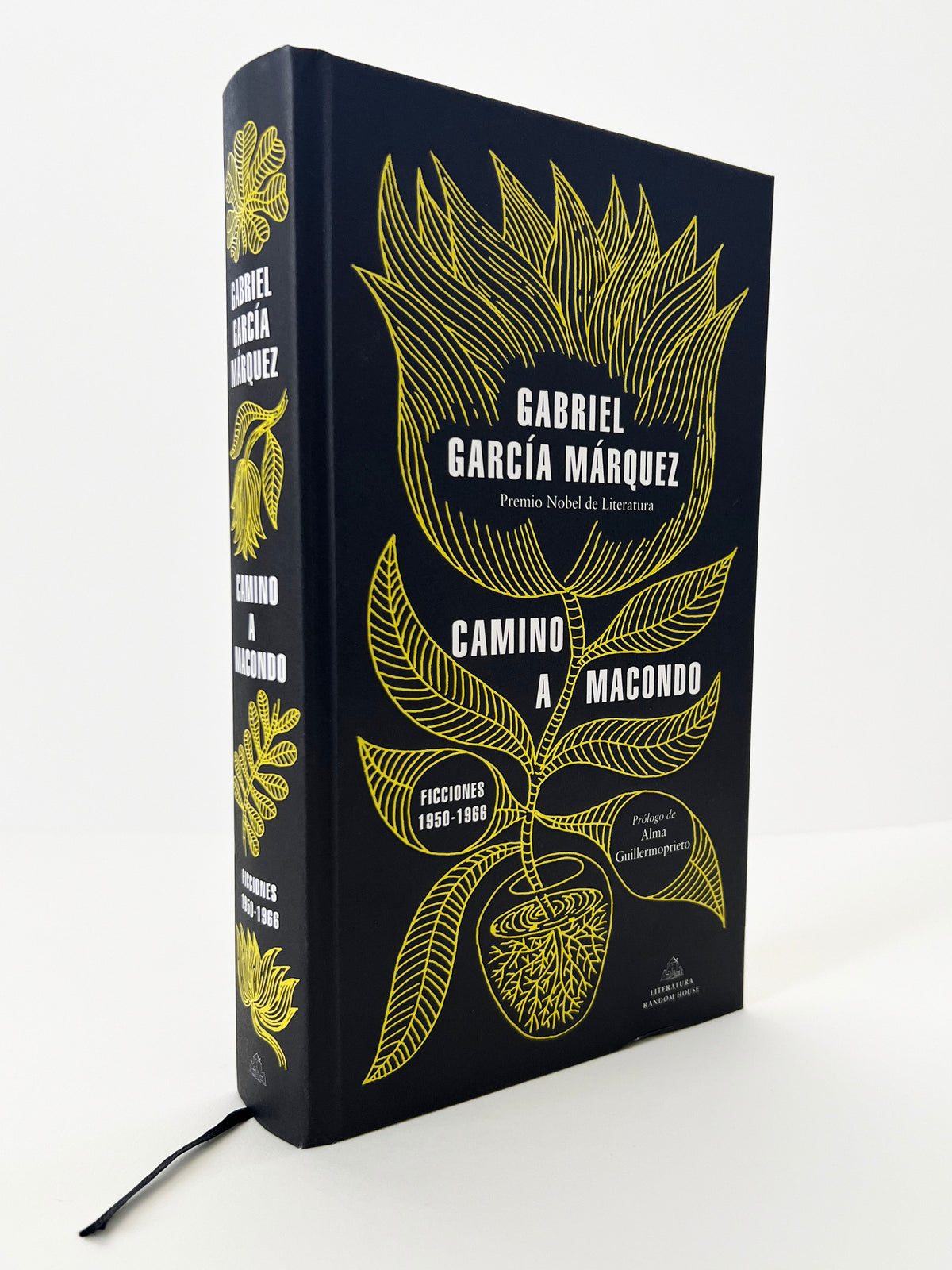 Camino a Macondo / The Road to Macondo cover (ISBN 9788439737834) [onix:0f313ca6f41bfe910480b81326e48a2c]
