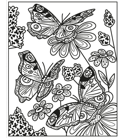 Butterflies Magic Painting Book interior 1 (ISBN 9781474986199) [onix-asset:ffce850873e05a1c072f8e11644c0fab5935934e39d39c7c56362b6d189a9b98]