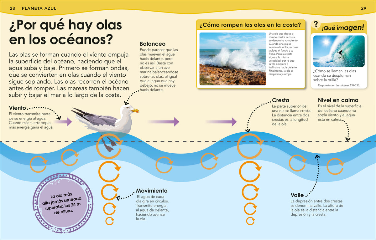 ¿Sabías qué? Océanos (Did You Know? Ocean) interior 1 (ISBN 9798217129737) [onix:7801bf3d123cfd2cce45f25349f11f1f]