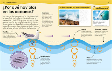 ¿Sabías qué? Océanos (Did You Know? Ocean) interior 1 (ISBN 9798217129737) [onix:7801bf3d123cfd2cce45f25349f11f1f]