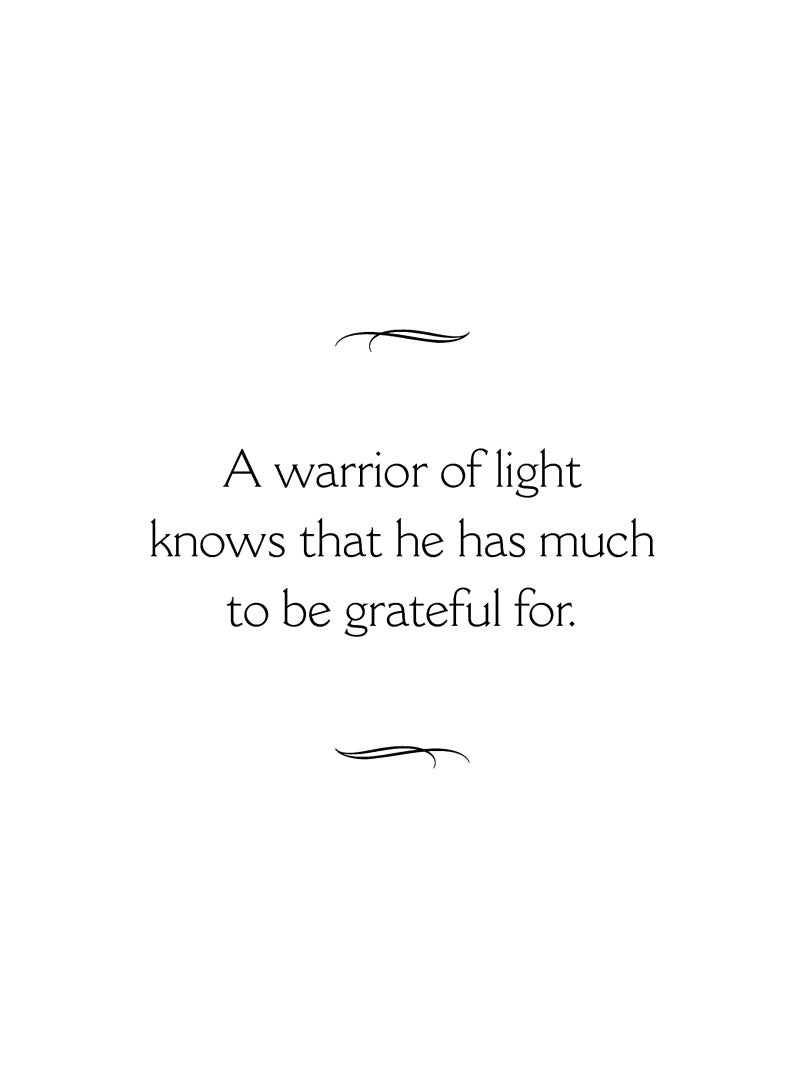 Manual of the Warrior of Light (Paulo Coelho)