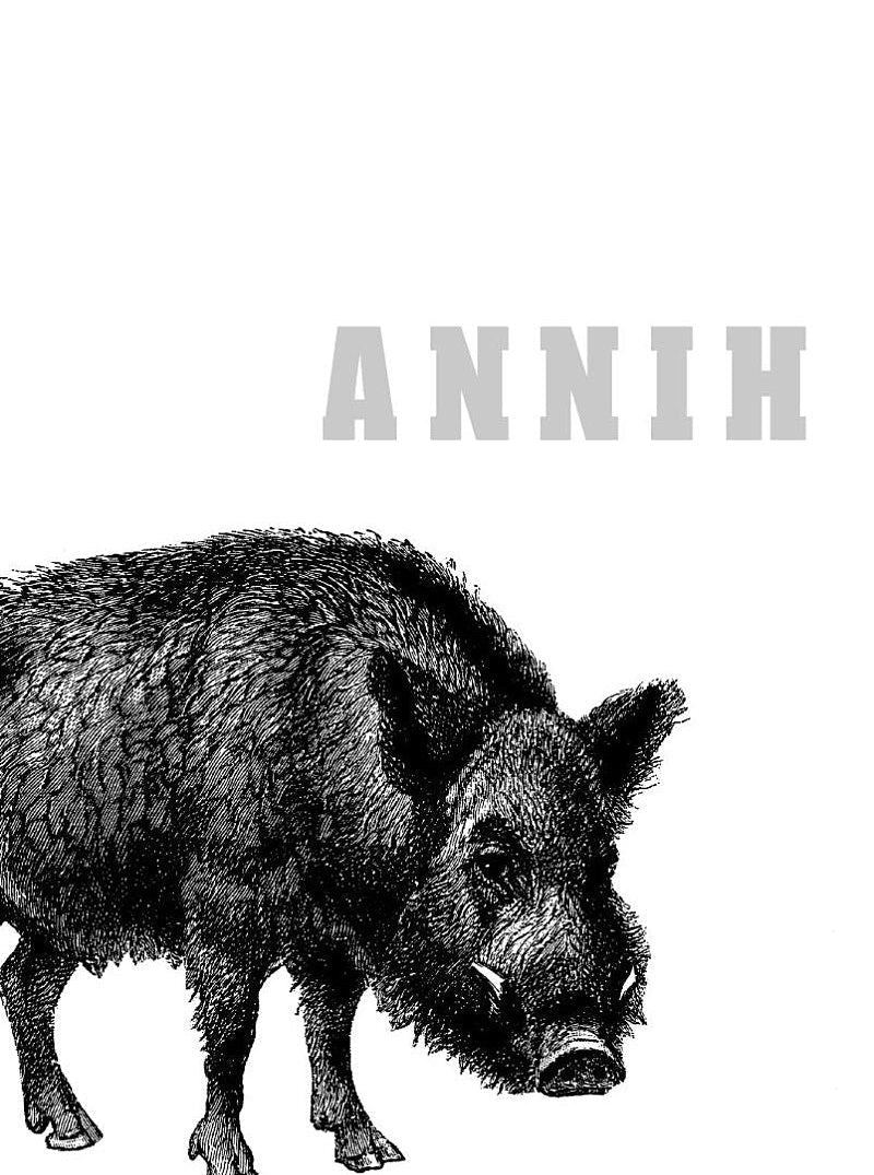 The Southern Reach #01 Annihilation (10th Anniversary Edition) (Jeff VanderMeer)-Fiction: Adventure / action / war-買書書 BuyBookBook