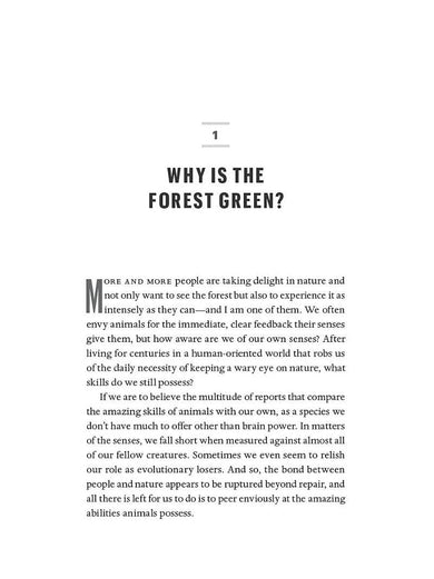 The Heartbeat of Trees: Embracing Our Ancient Bond With Forests and Nature (Peter Wohlleben)-Nonfiction: 動物植物 Animal & Plant-買書書 BuyBookBook