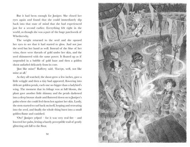 Chronicles of Whetherwhy: The Age of Enchantment (Anna James)-Children’s / Teenage fiction: Fantasy-買書書 BuyBookBook