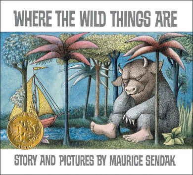 Hardback