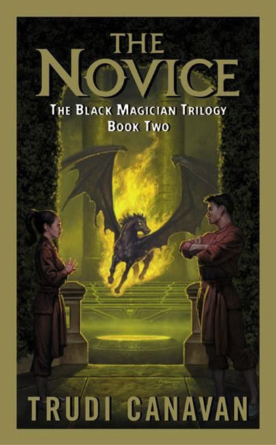 The Novice-Fiction: Adventure / action / war-買書書 BuyBookBook