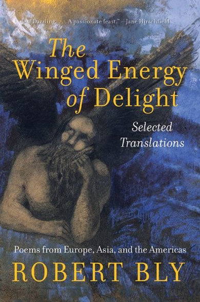 The Winged Energy of Delight-Fiction: Short stories and other special features-買書書 BuyBookBook