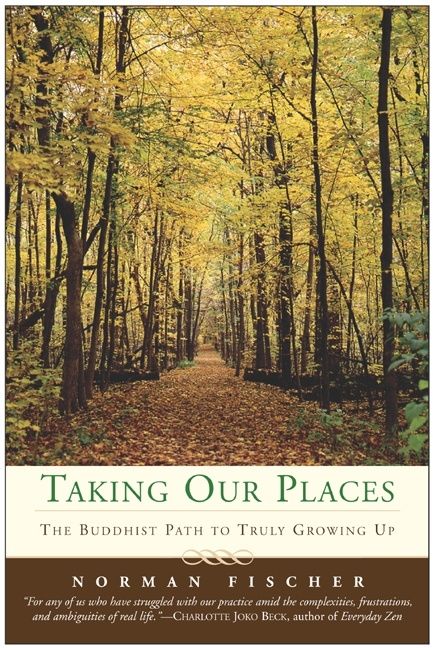 Taking Our Places-Religion and beliefs-買書書 BuyBookBook