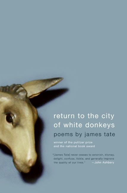 Return to the City of White Donkeys-Poetry-買書書 BuyBookBook