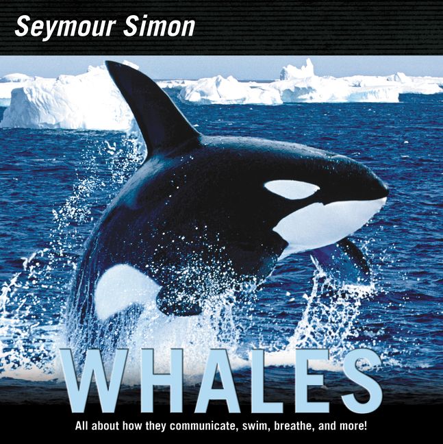 Whales-Children’s / Teenage general interest: Nature and animals-買書書 BuyBookBook