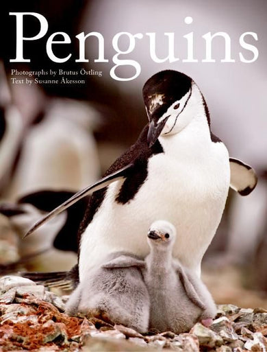 Penguins-Earth Sciences/ Geography/ Environment/ Planning-買書書 BuyBookBook