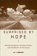 Surprised by Hope-Religion and beliefs-買書書 BuyBookBook