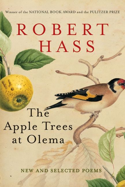 The Apple Trees at Olema-History and Archaeology-買書書 BuyBookBook