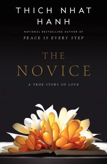 The Novice-Fiction: general and literary-買書書 BuyBookBook