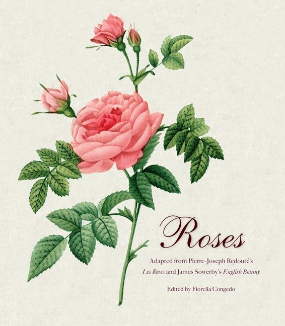 Roses-Lifestyle and Leisure-買書書 BuyBookBook