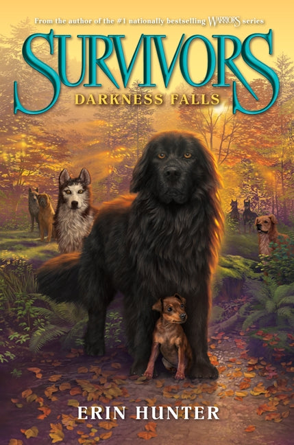 Survivors #3: Darkness Falls-Children’s / Teenage fiction: General and modern fiction-買書書 BuyBookBook
