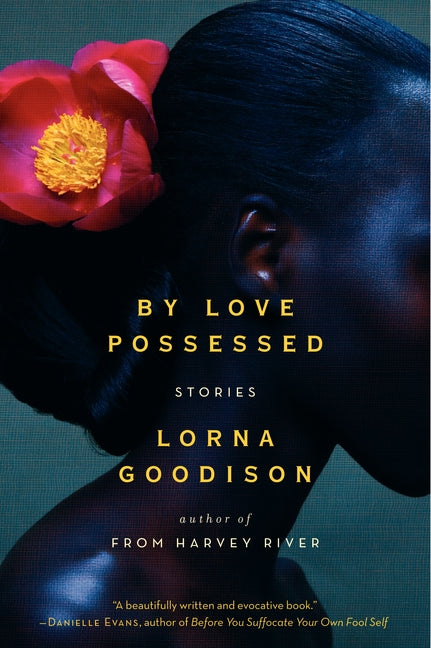 By Love Possessed-Fiction: general and literary-買書書 BuyBookBook