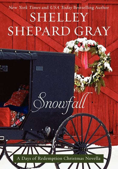 Snowfall-Fiction: general and literary-買書書 BuyBookBook