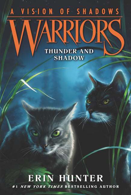 Warriors: A Vision of Shadows #2: Thunder and Shadow-Children’s / Teenage fiction: General and modern fiction-買書書 BuyBookBook