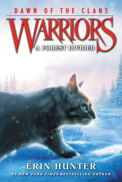 Warriors: Dawn of the Clans