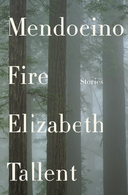 Mendocino Fire