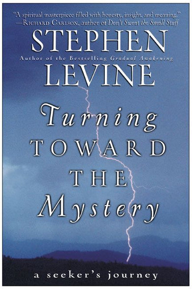 Turning Toward the Mystery-Society/ culture/ social sciences-買書書 BuyBookBook
