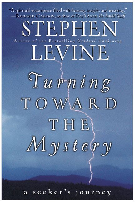 Turning Toward the Mystery-Society/ culture/ social sciences-買書書 BuyBookBook