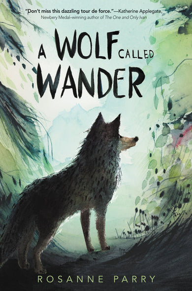 US - Hardback